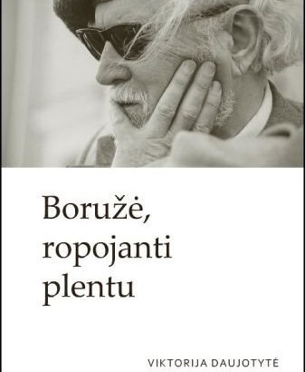 Prof. V. Daujotytės „Boružė, ropojanti plentu“